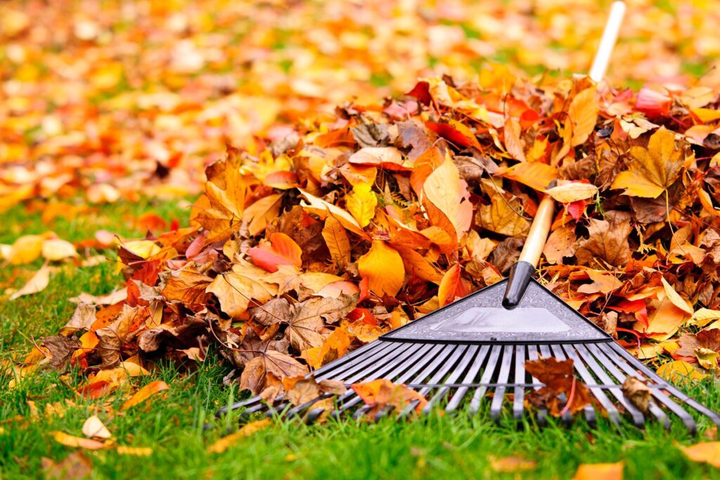 Cheap Fall Ideas: Enjoying the Season Without Breaking the Bank